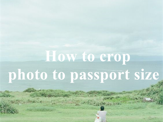 How to crop photo to passport size with free passport photo?