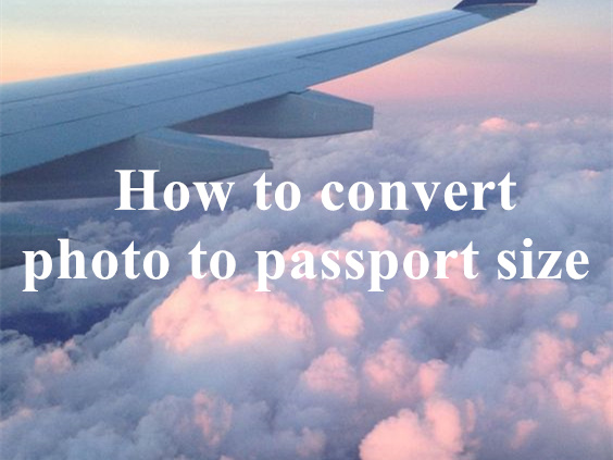 How to convert photo to passport size with VanceAI?