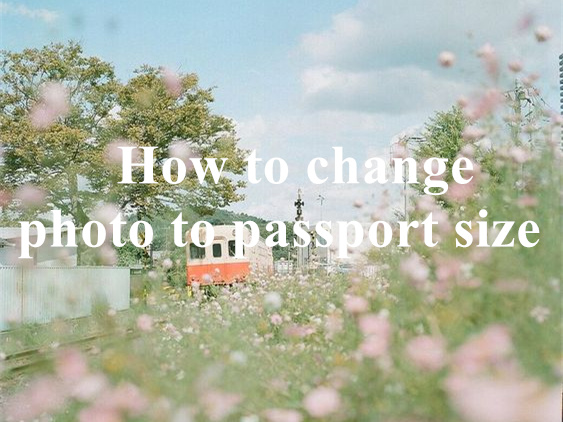 How to change photo to passport size with Idphotodiy?