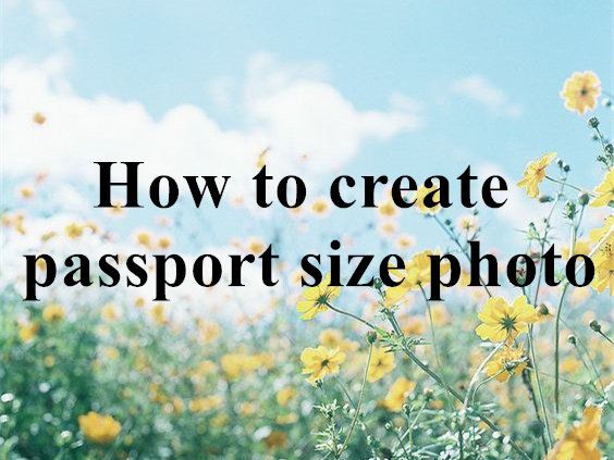 How to create passport size photo with Idphoto4you?