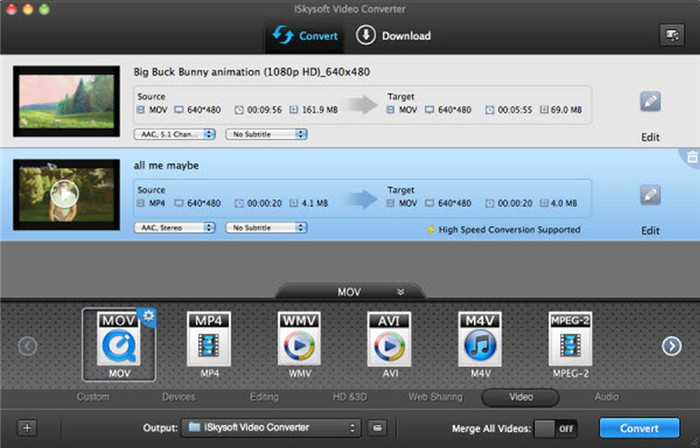 Iskysoft mkv converter что это